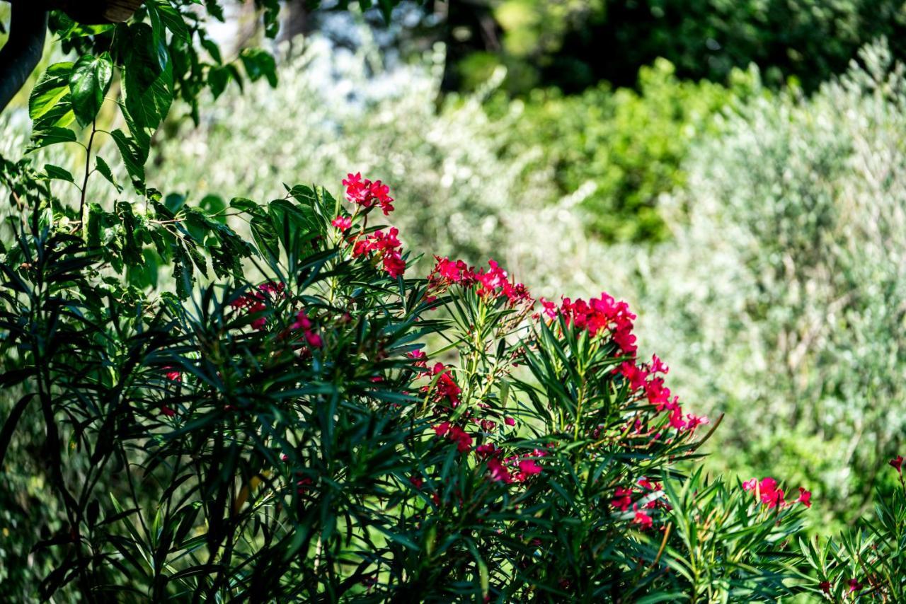 Agriturismo Le Chiusure San Felice del Benaco Exteriör bild